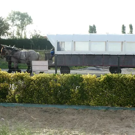 Ferienhaus Vakantiehuis De Aalscholver *